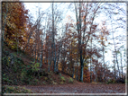 foto Da Rocca di Arsie al Col di Baio